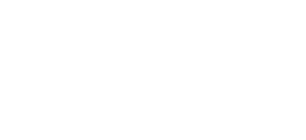 Hong Kong Dongsheng Metal Trading Co., Ltd